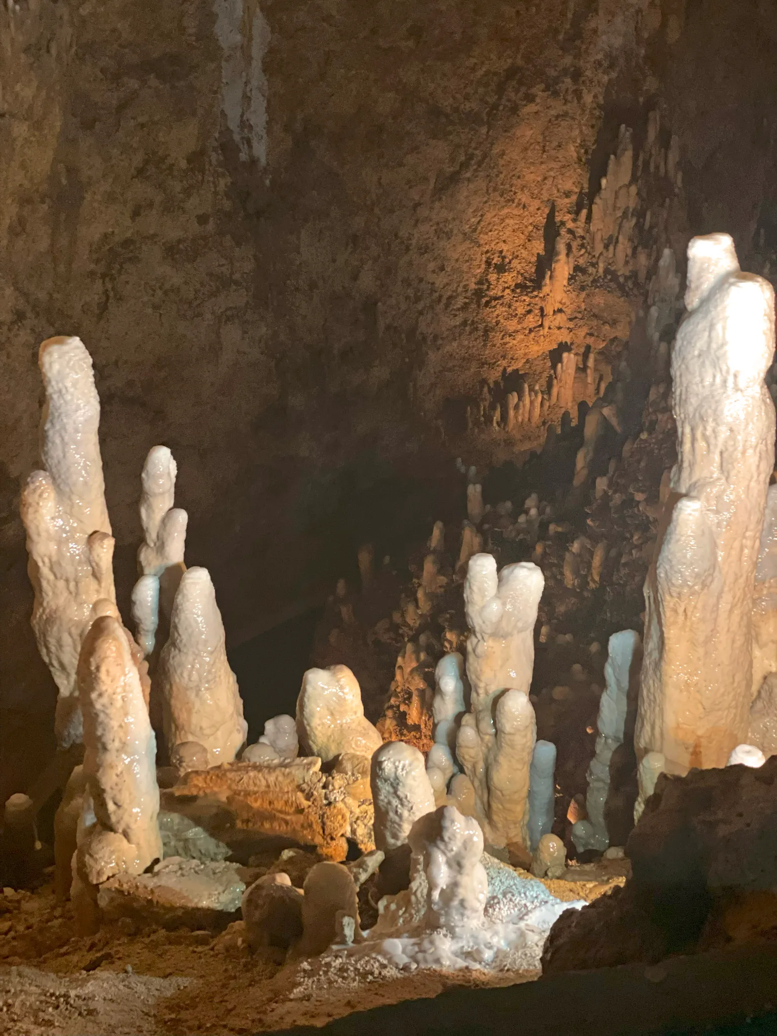 barbados-cave.webp