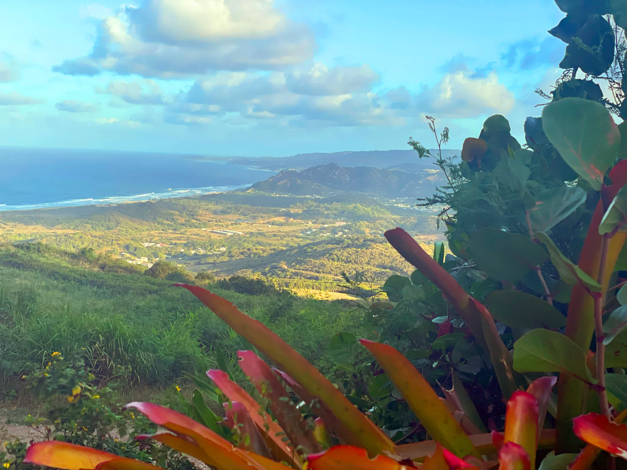 barbados-scenery.webp