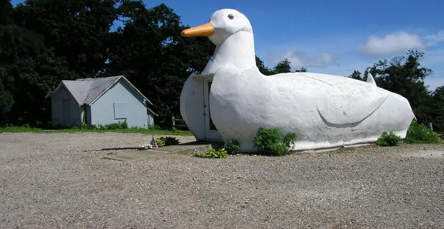 big-duck.webp