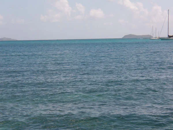 carnival-liberty-2007-0011.webp