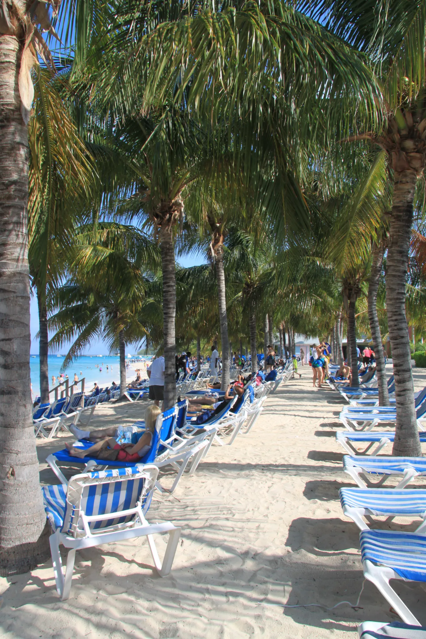 carnivalconquest-20150006.webp