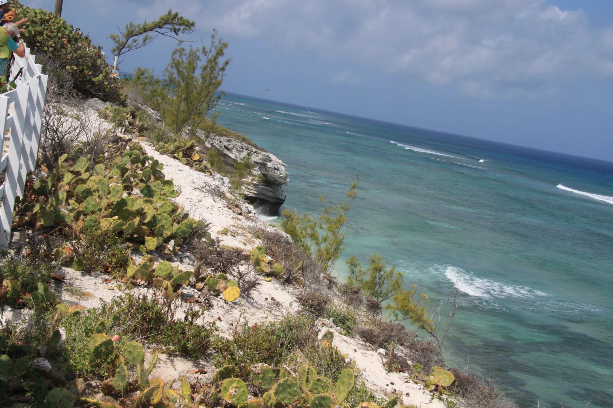 carnivalconquest-20150017.webp