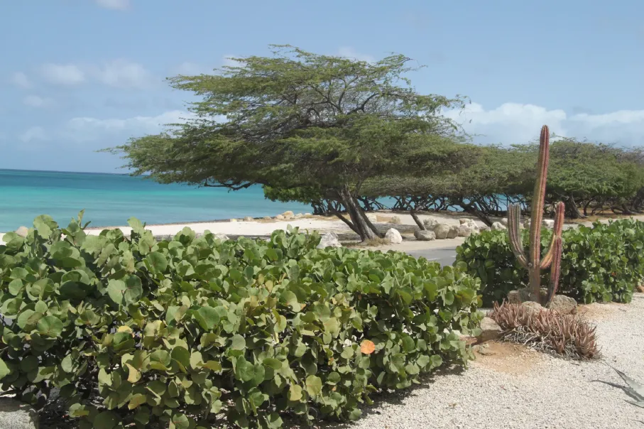 carnivalconquest-20150228.webp