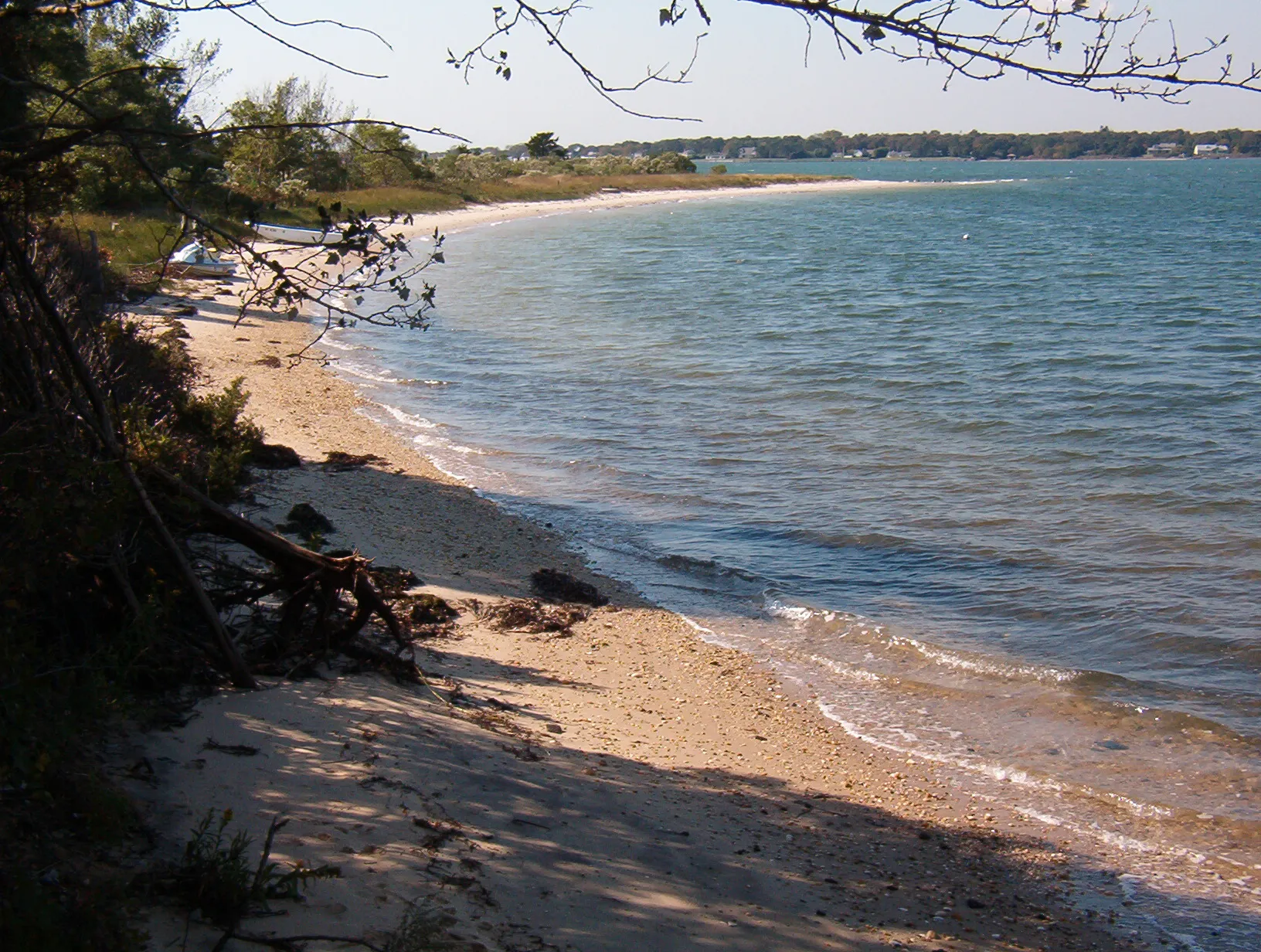 eli-scenics0010.webp