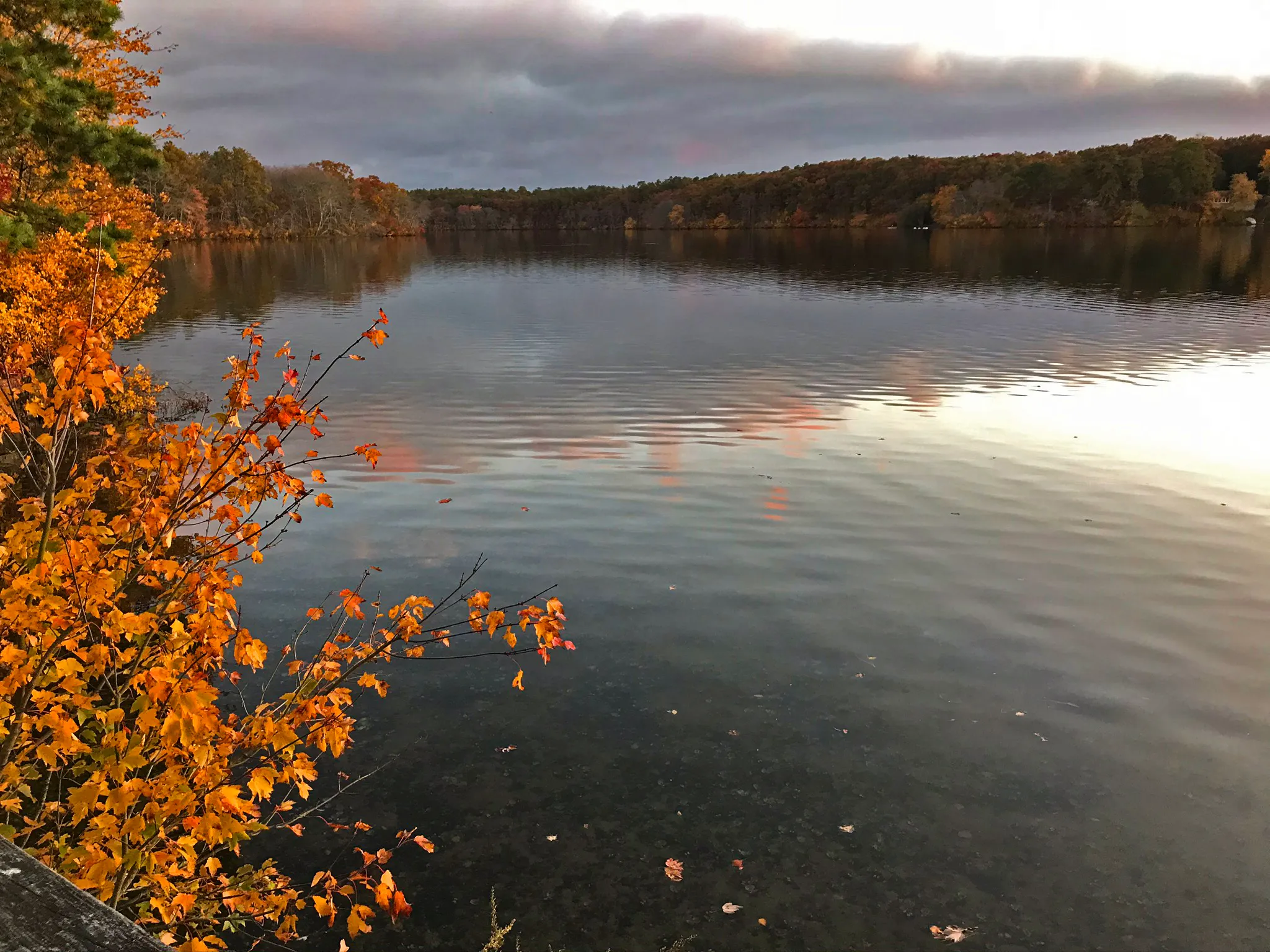eli-scenics0044.webp