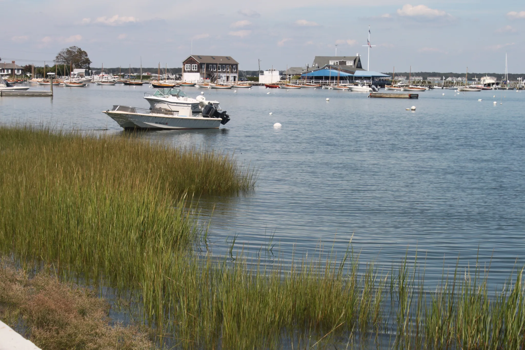 eli-summer-2011-0041.webp