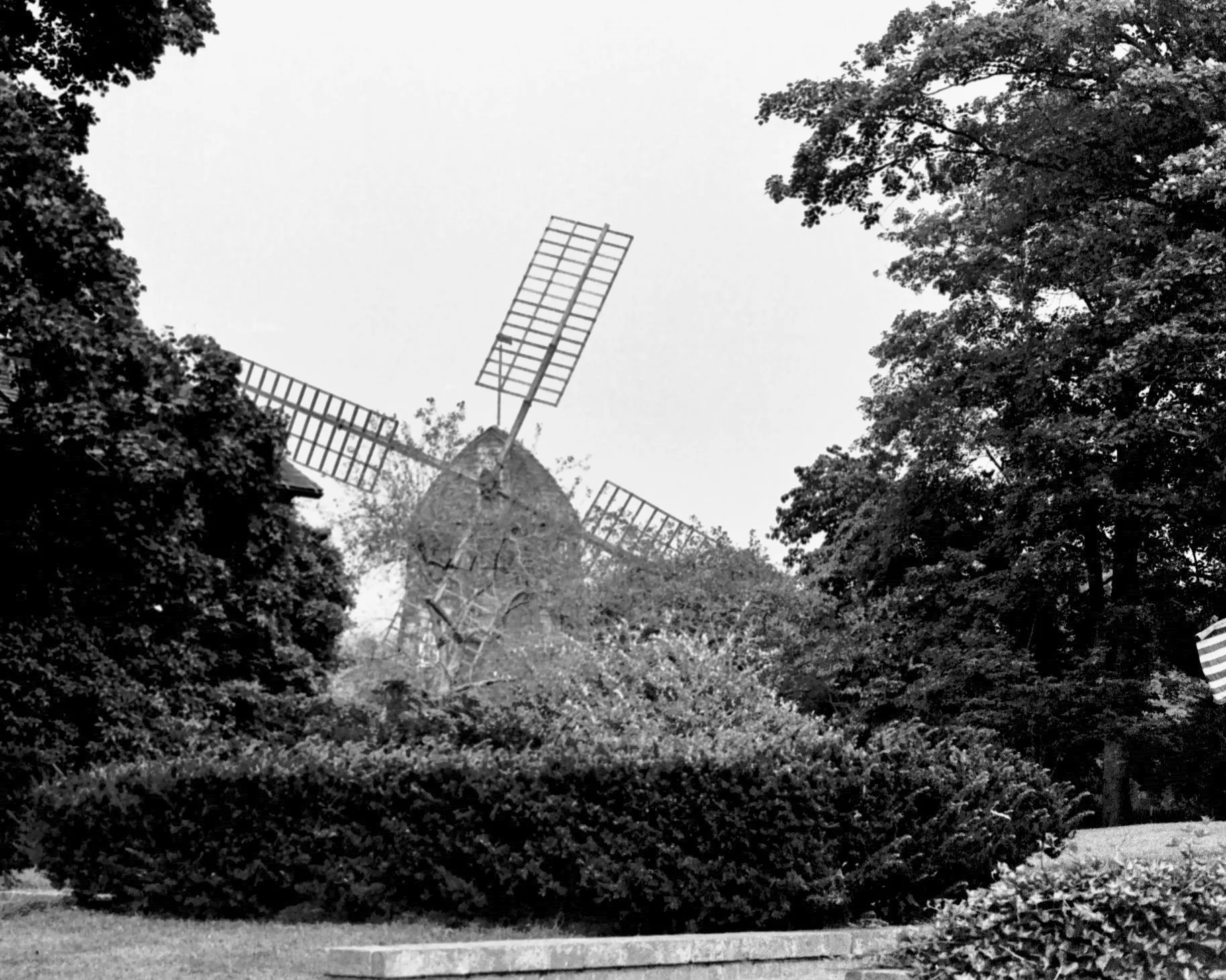 eli-windmill.webp