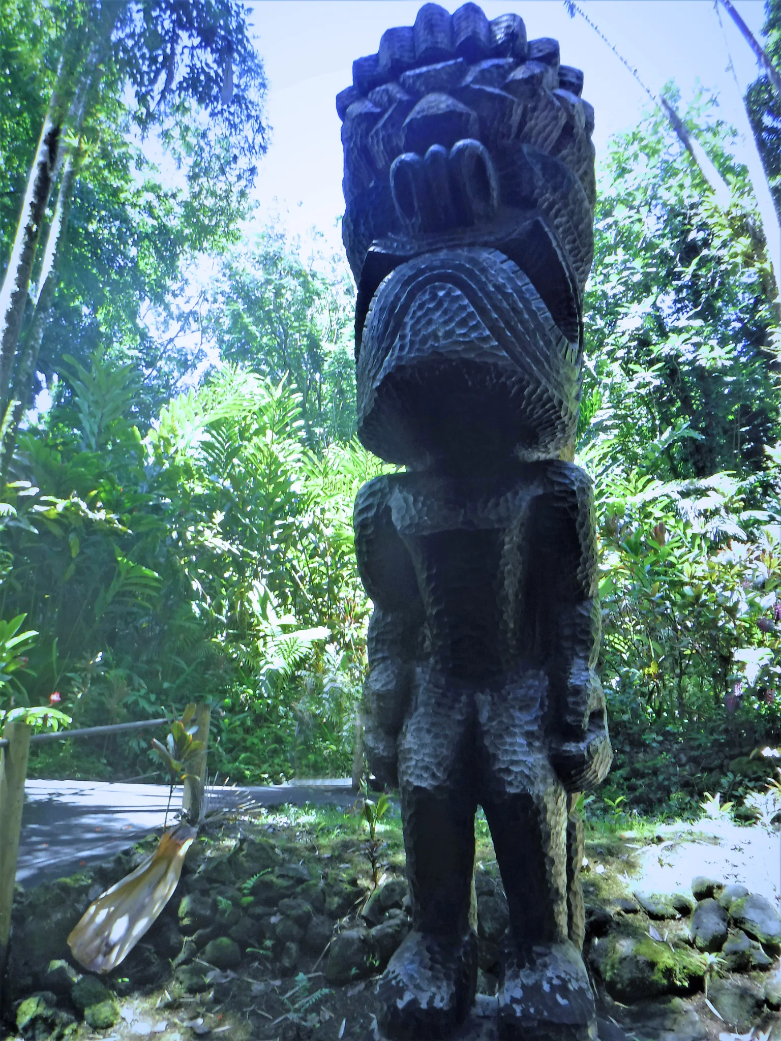 hawaii-hilo-botanical0010.webp