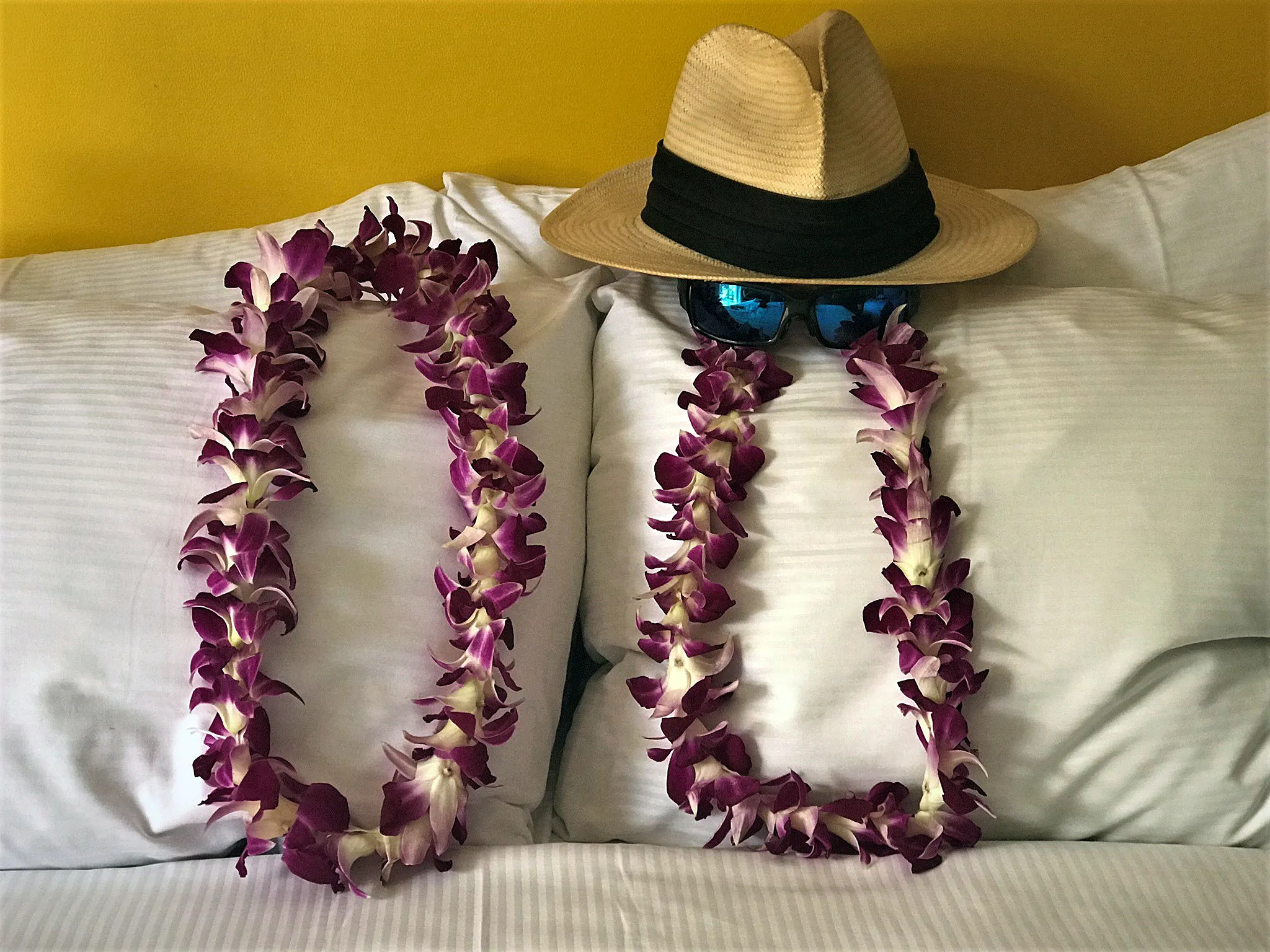 hawaii-honolulu-random-post0003.webp