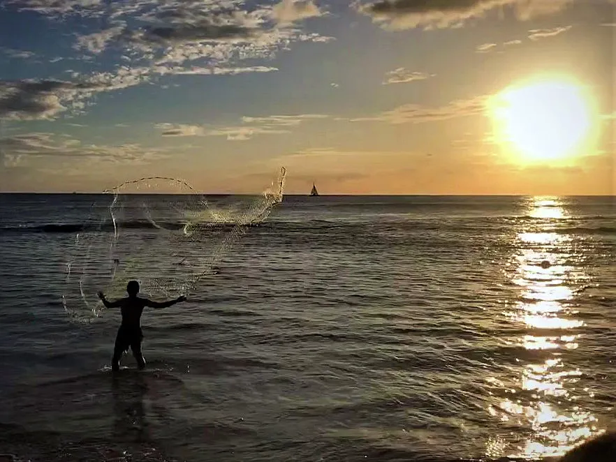 hawaii-paradise-cove-post0001.webp