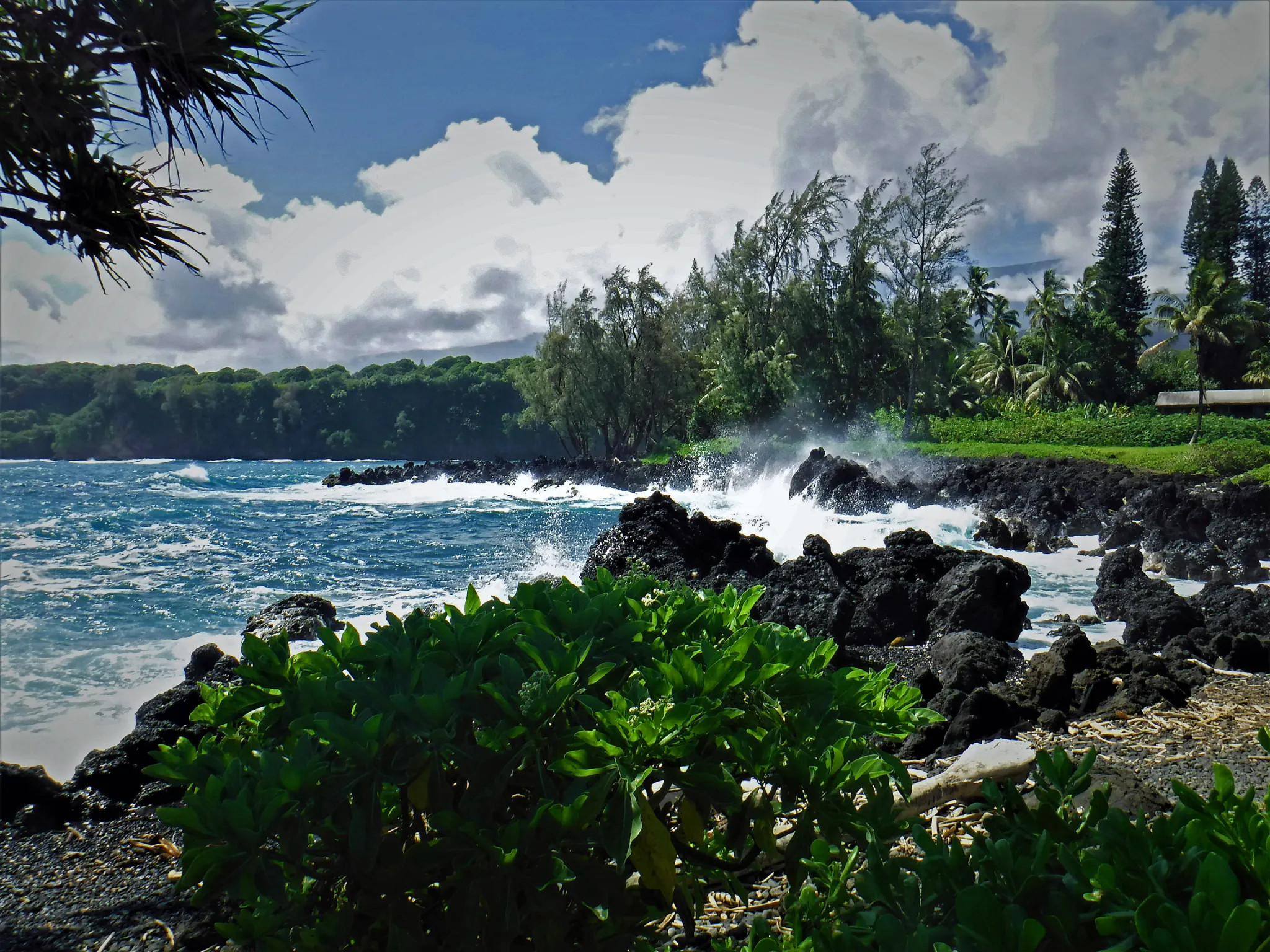 hawaii-road-to-hana-post0004.webp