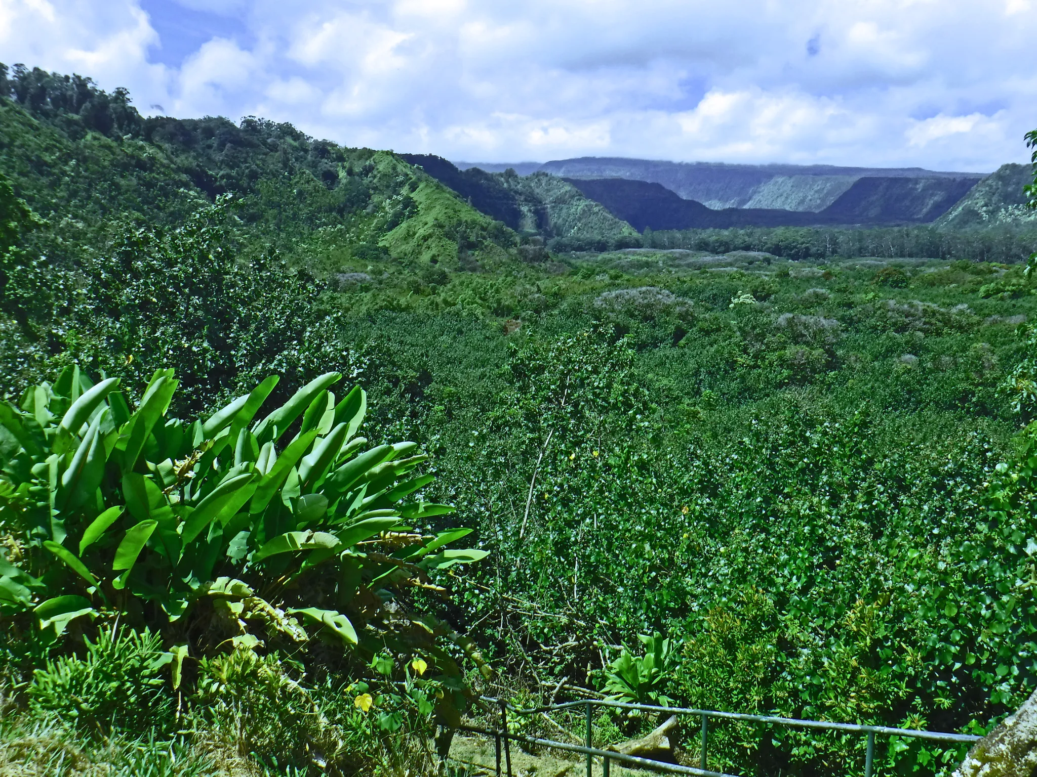 hawaii-road-to-hana-post0007.webp