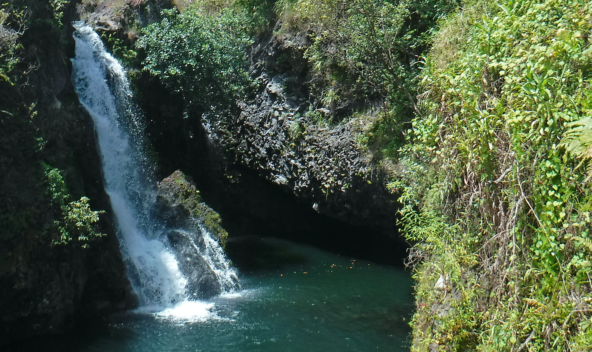hawaii-road-to-hana-post0008.webp