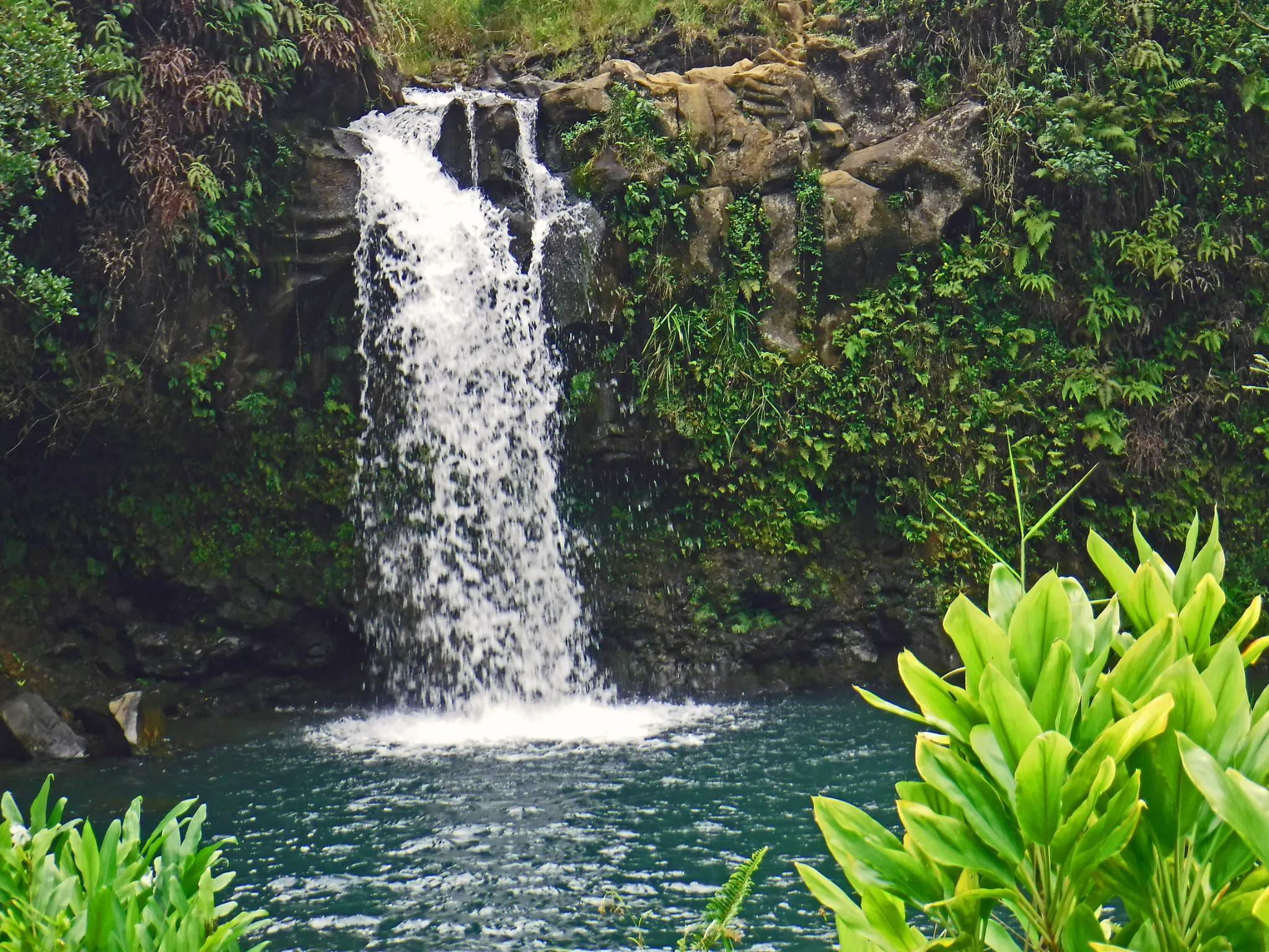 hawaii-road-to-hana-post0015.webp