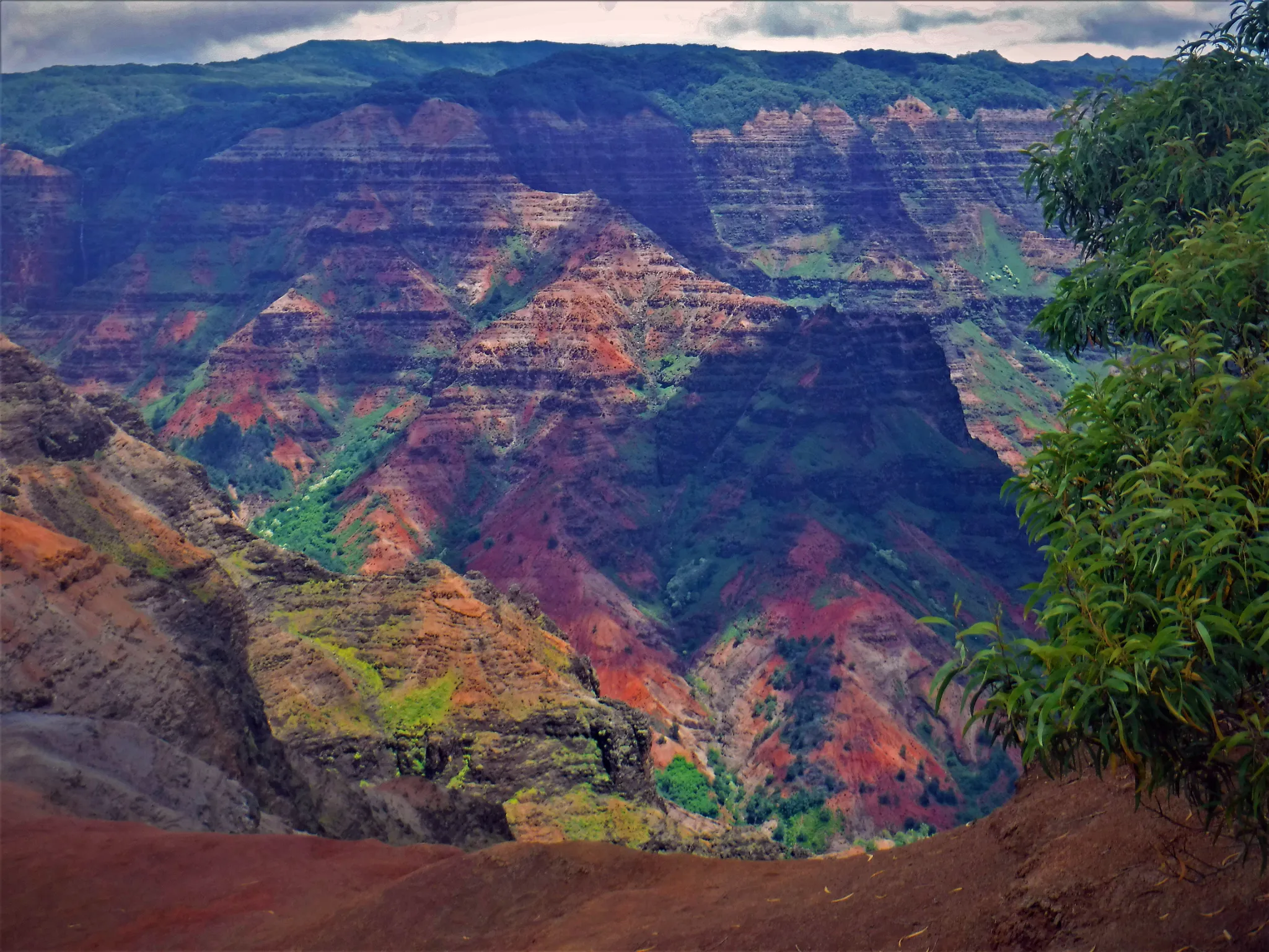 hawaii-waimea-canyon-post0004-1.webp