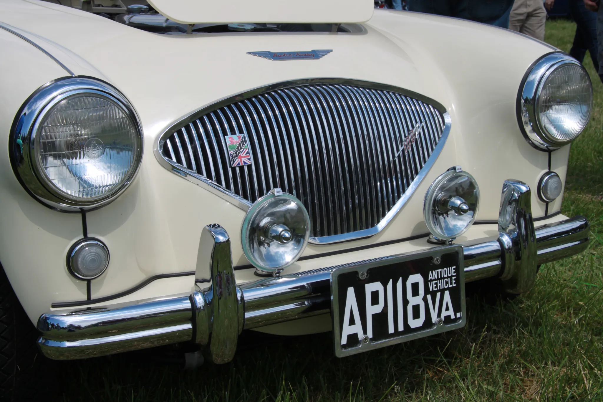 healey100-6.webp