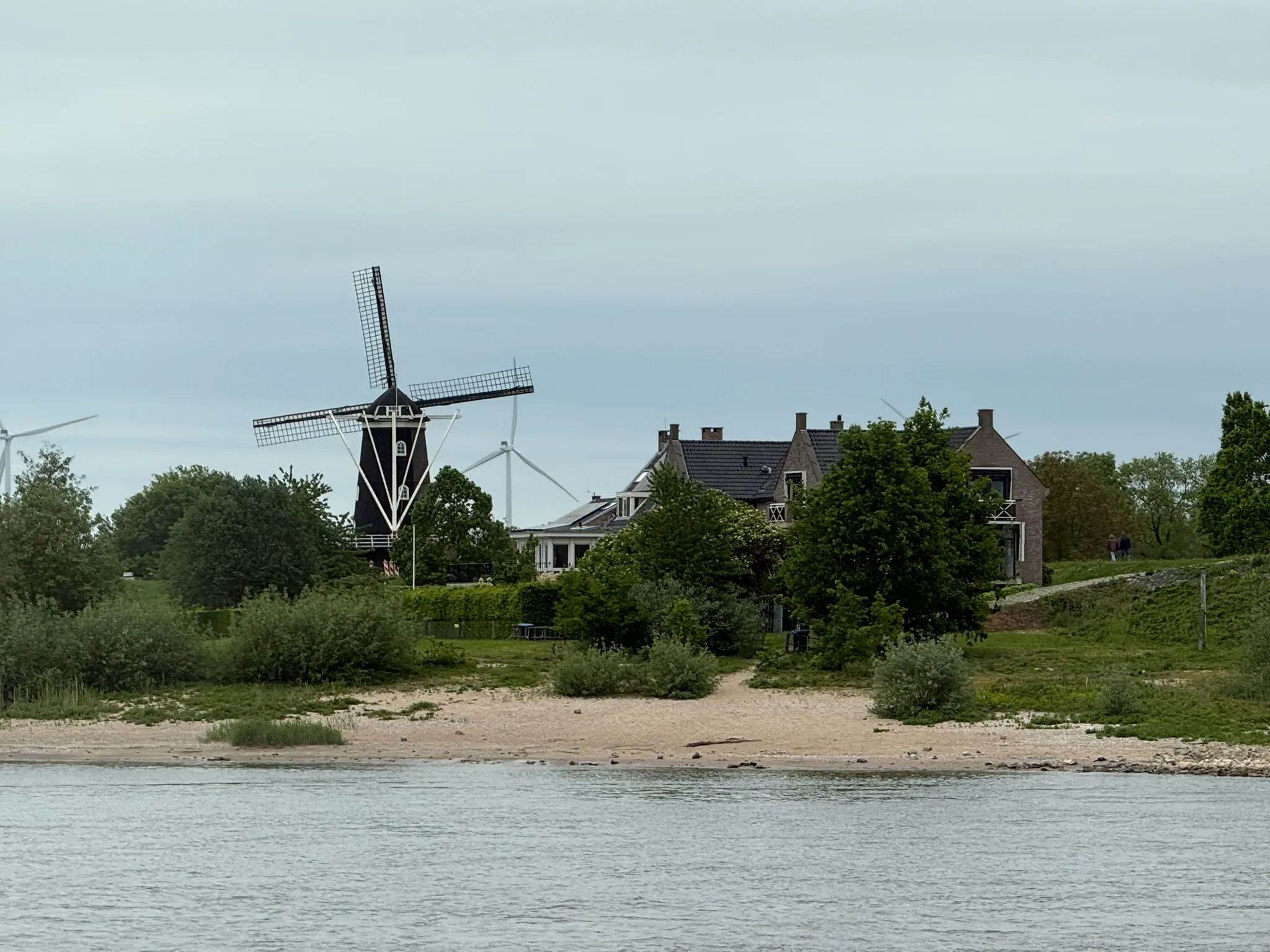 img-0433-1786123109763.webp