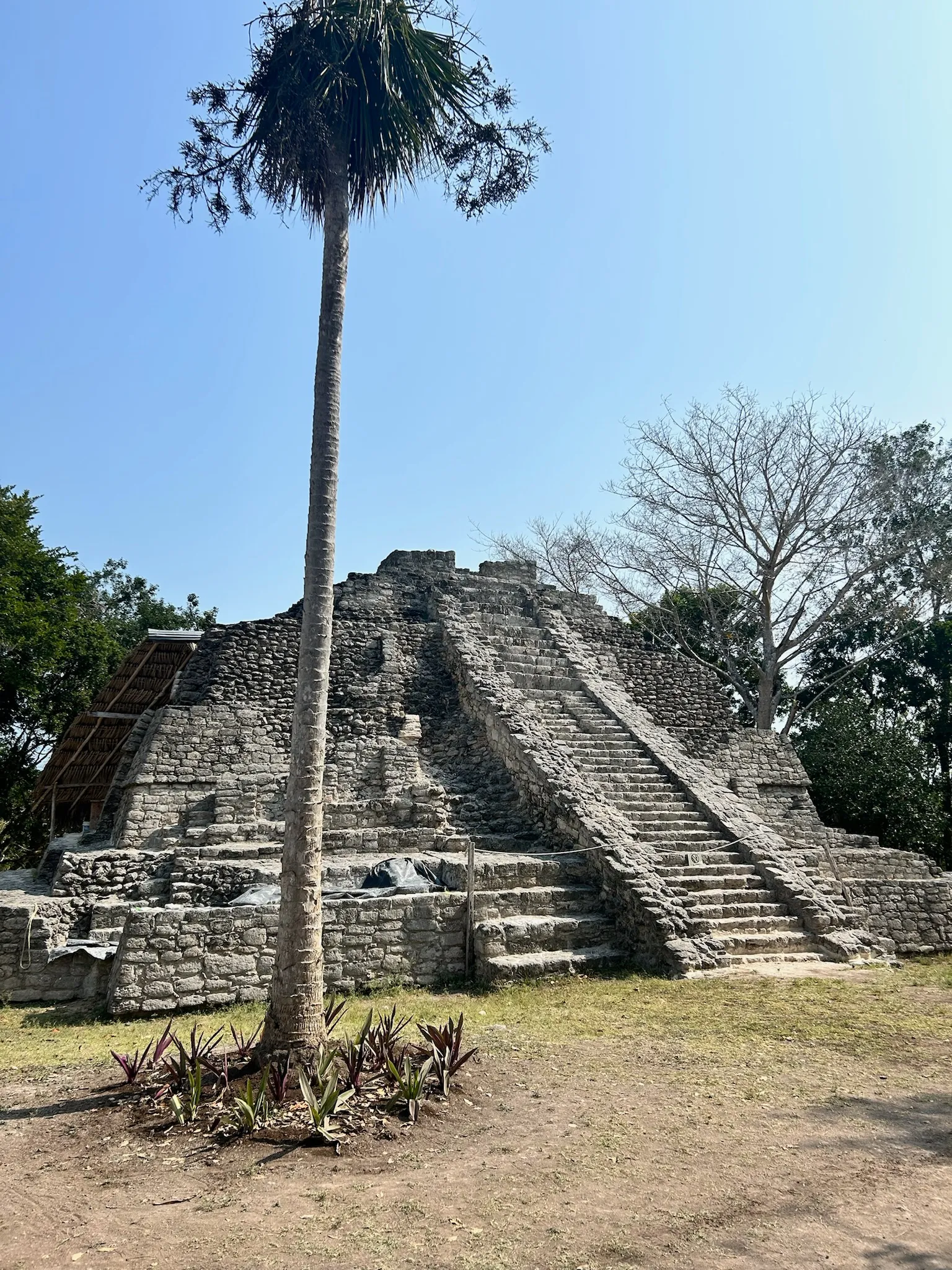 img-3991.webp