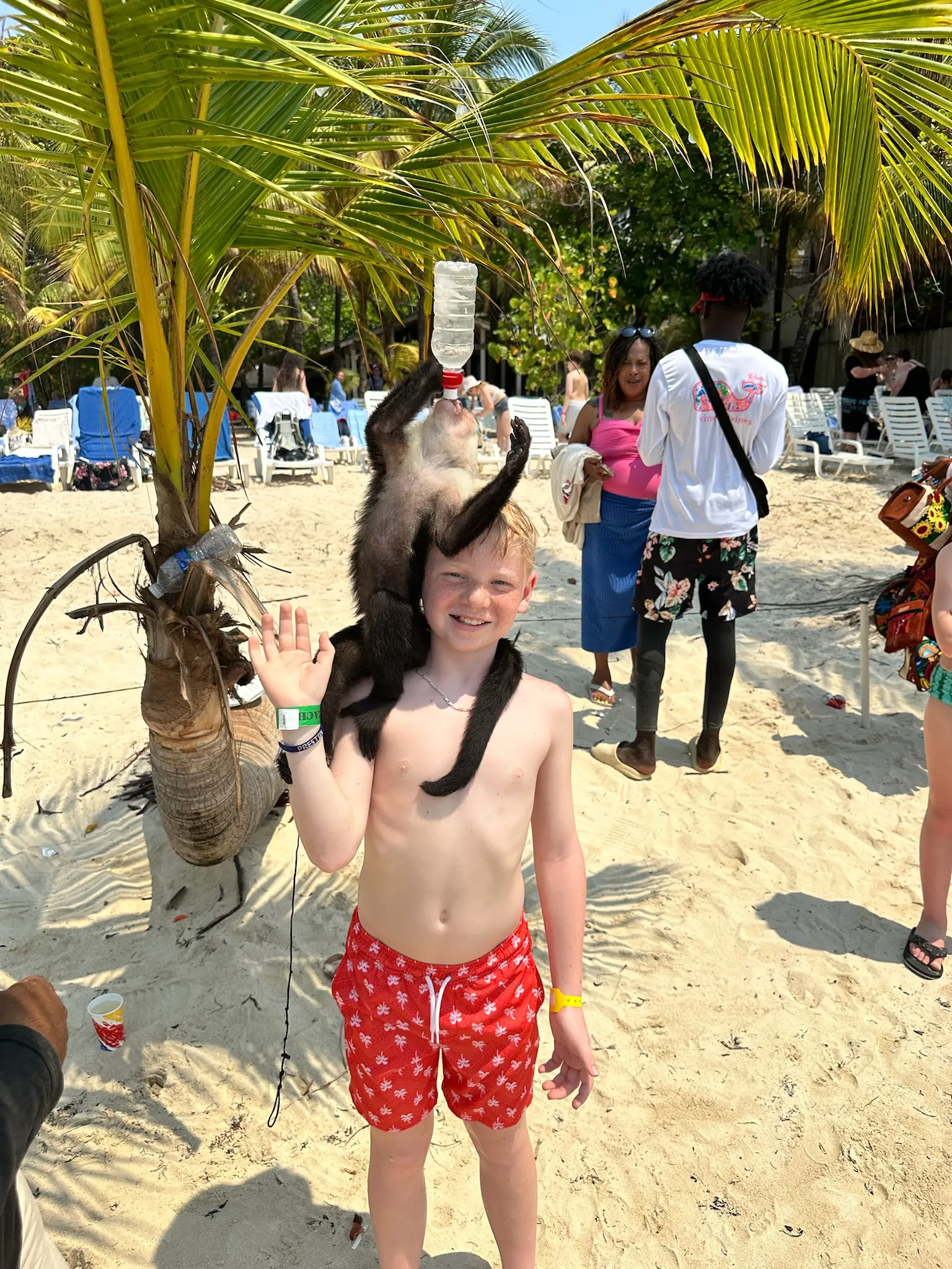 img-4008.webp