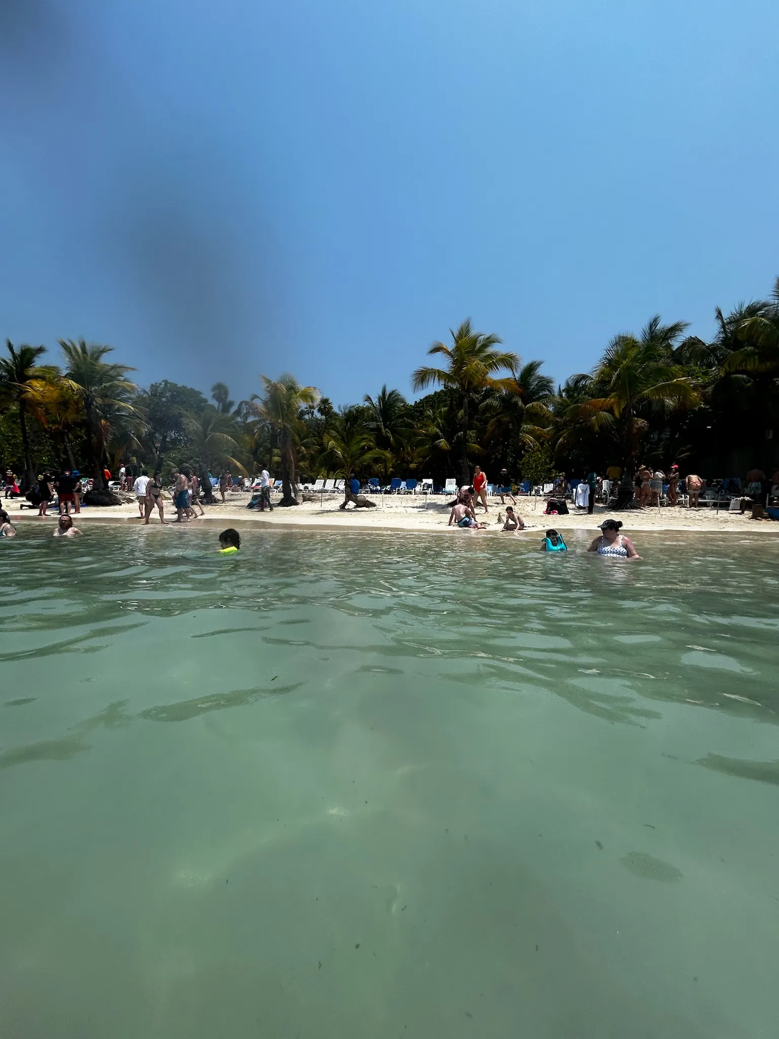 img-8207.webp