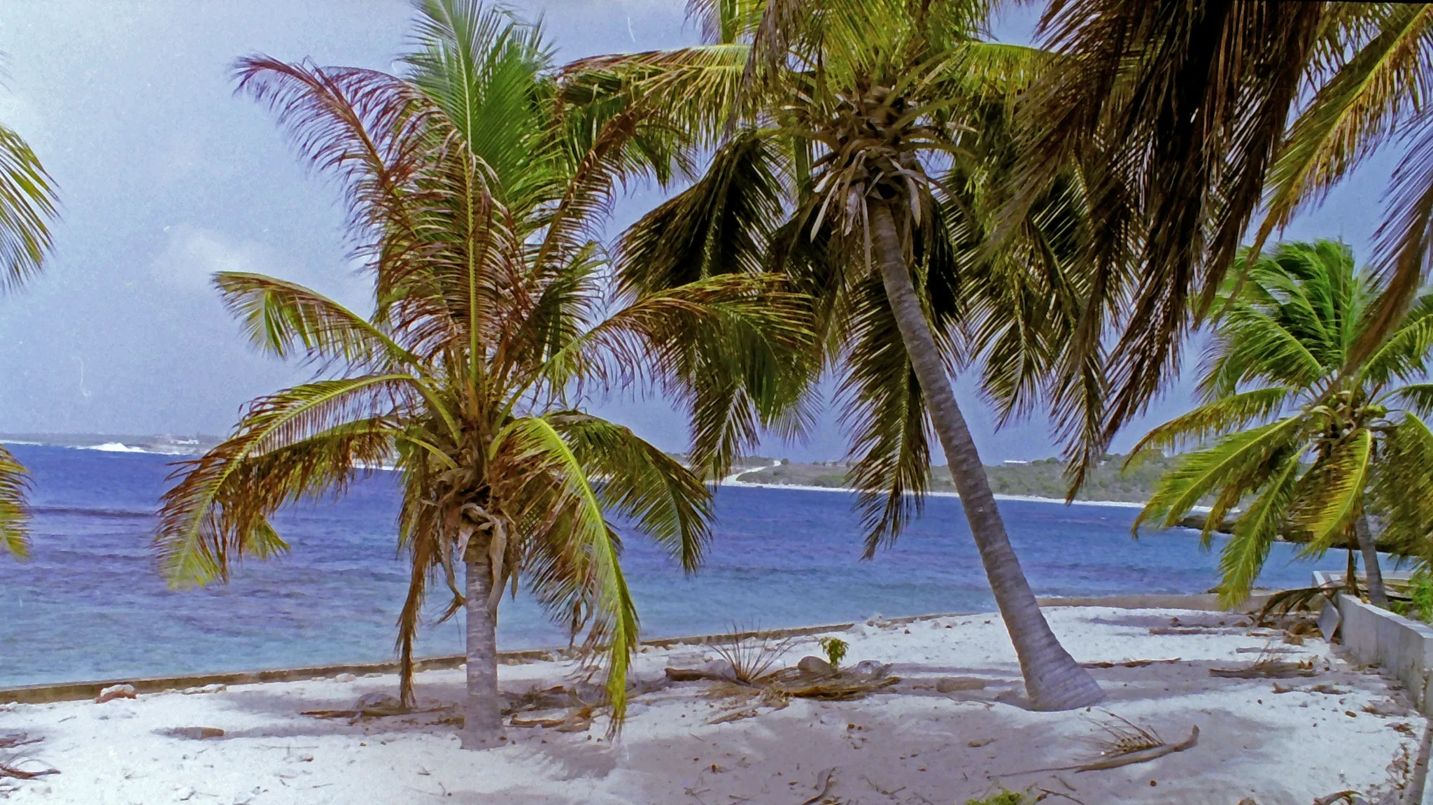 img00109-v2.webp