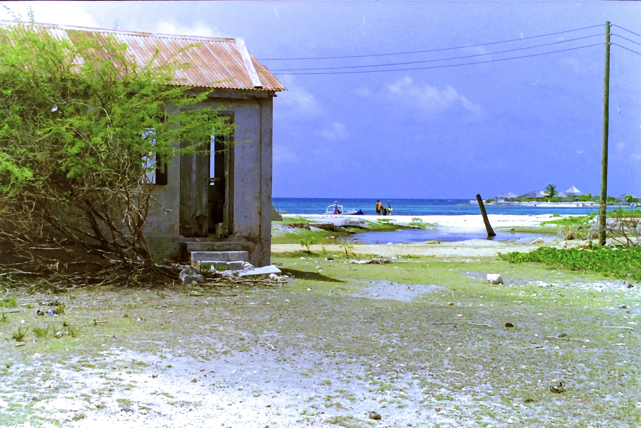 img00142-v2.webp