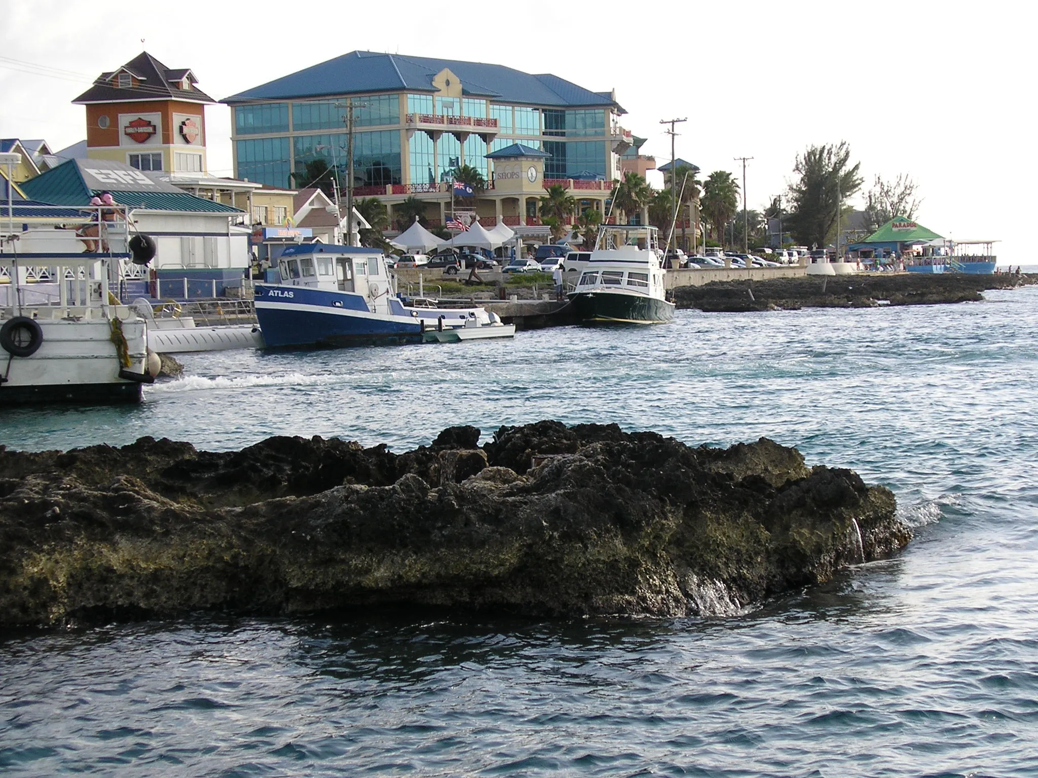jewelcruise-2009-0129-1.webp