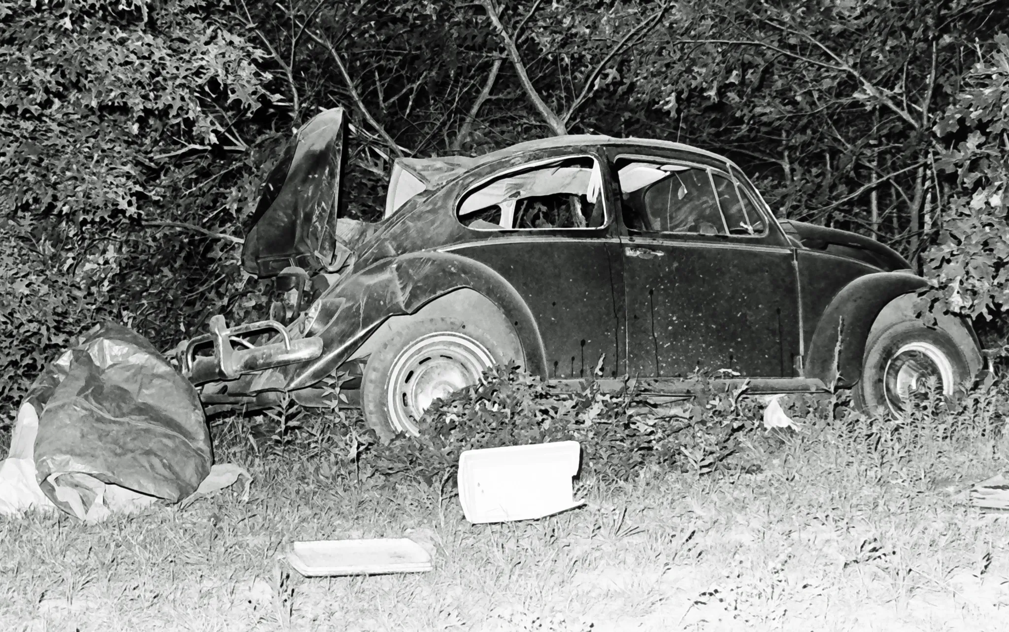 nightcrawler-vw-and-trees.webp